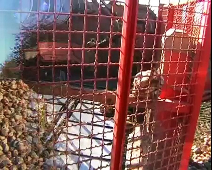 Zuckerrüben von A bis Z - von Aussaat bis Zuckerfabrik ( der Film)