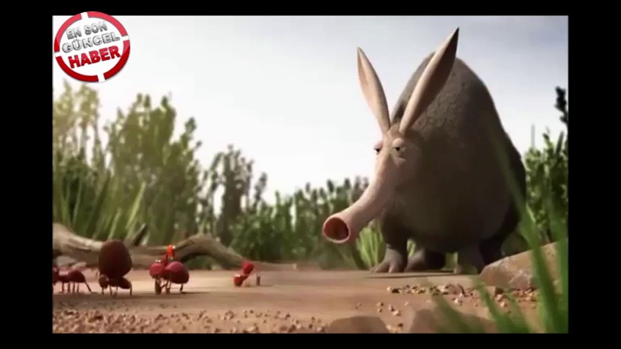 Animasyon Hayvanlar arasındaki mücadelenin komik hali