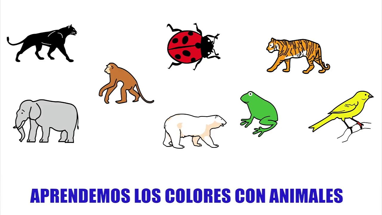 Aprendemos los animales y sus colores para niños