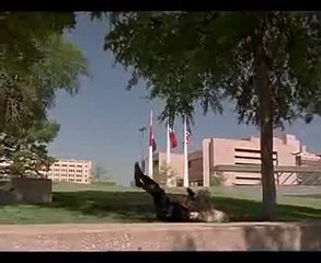 chuck norris - the president's man - final fight scene