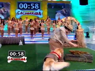 CTC SOROCABA - Centro de adestramento de caes quadro Cachorrada Fautão