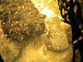 Подводный робот "Моби Дик" Россия