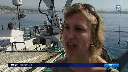 Méditerranée : plus de 2 500 pneus à sortir de l'eau