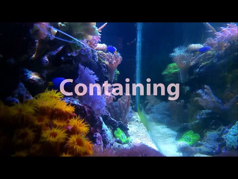 The hardware, build costs, and maintenance of my 100g mixed reef tank.