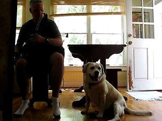 another Uilleann pipe Dog howling video