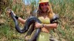 wild animals anaconda and pirañas animales salvajes  anacondas atacan