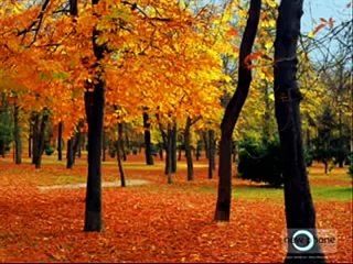 Un argentino de Santa Fe en Toronto (para mi amigo Santafesino Tony Latino)