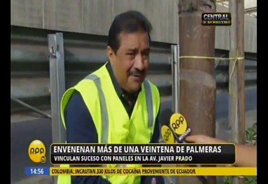 Vía Expresa de Javier Prado: Denuncian que 22 palmeras fueron envenenadas