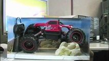 Remote Control Rock Crawler RC Truck Drives Over Everything For Cheap - Trend Times Toys