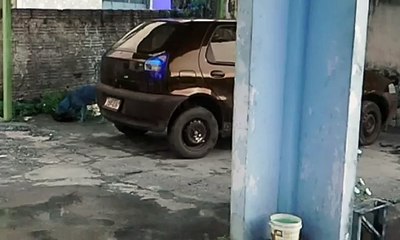 Cachorro chora e tenta ressuscitar irmão em Manaus