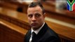 Oscar Pistorius trial: witness says Pistorius asked friend to take the rap for a firearms offence