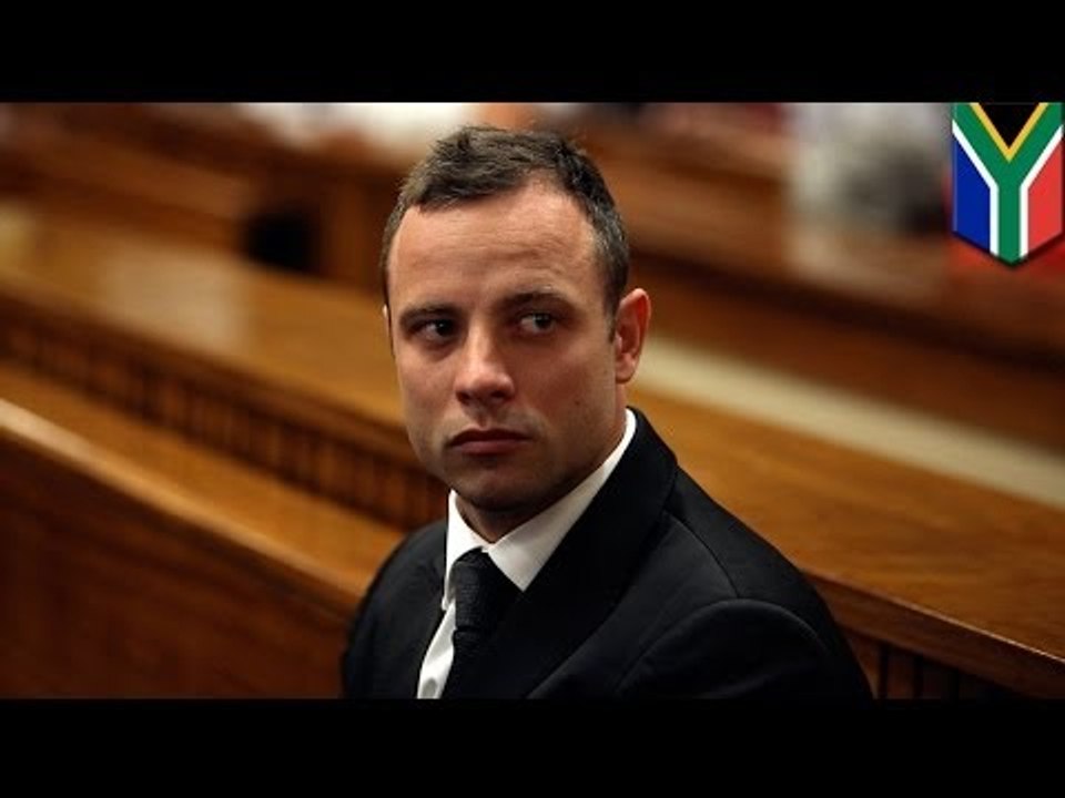 Oscar Pistorius trial: witness says Pistorius asked friend to take the rap for a firearms offence