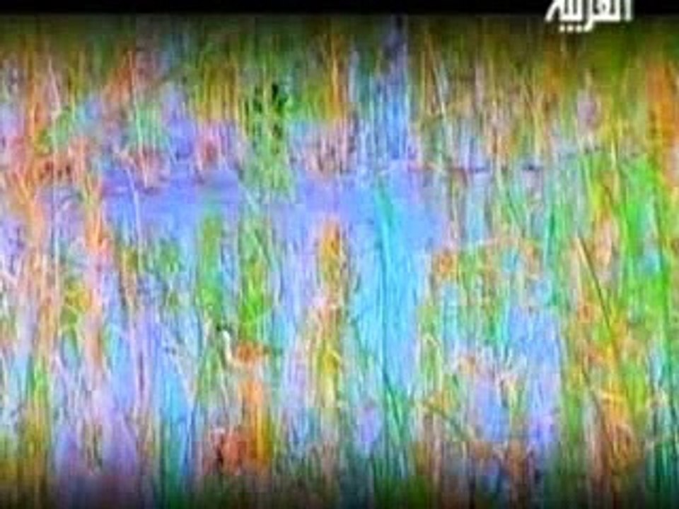 A Documentary on Saddam Hussein 2