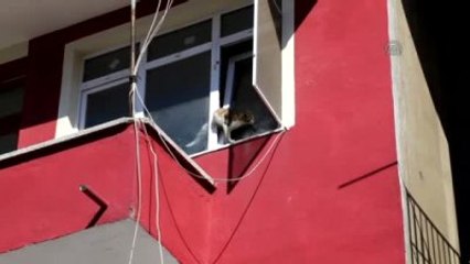Pencerede Sıkışan Kediyi İtfaiye Kurtardı