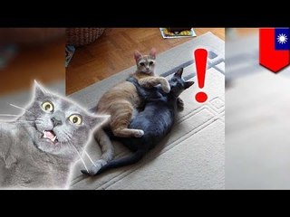 家政婦に浮気バレ冤罪かぶせる