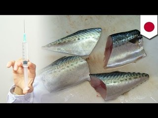 サバの切り身に注射器刺した女
