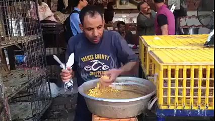 Hun Kabutara Ch v Hawa Bhari Jandi Aa