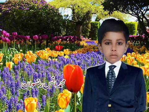 Muhammad Ans Rizwan is studying in Pakistan House of Knowledge Complex Road Dinga