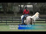 Horse Master with Julie Goodnight - 115