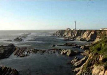 Visualisation of Seagull Flight Path