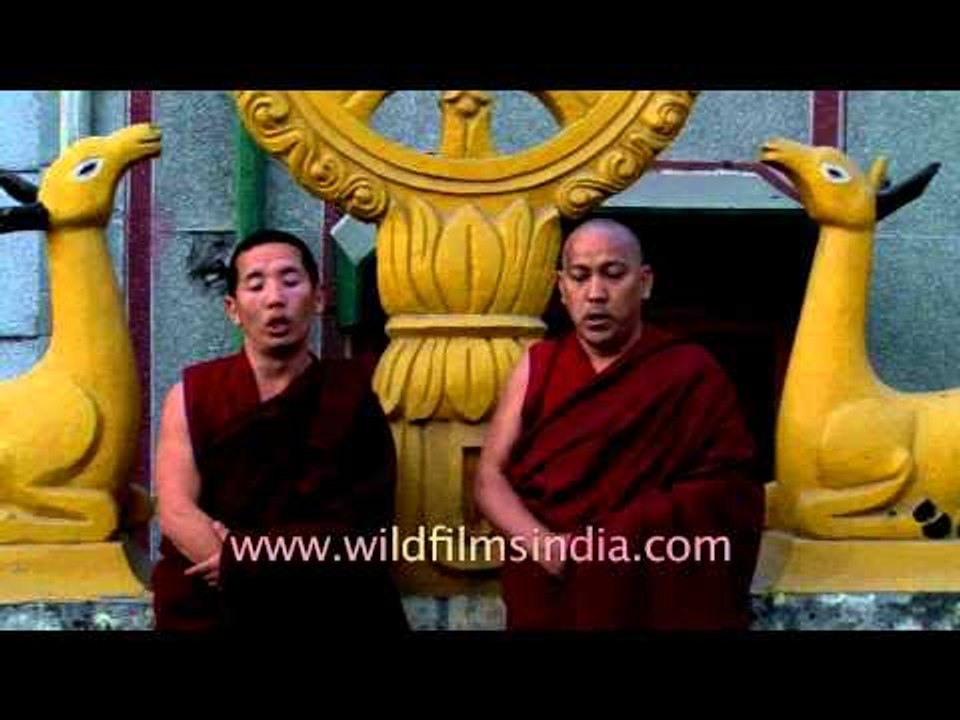 Tibetan monks throat-singing - Specialized form of chanting
