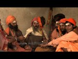 Sadhus smokes marijuana in a chillum