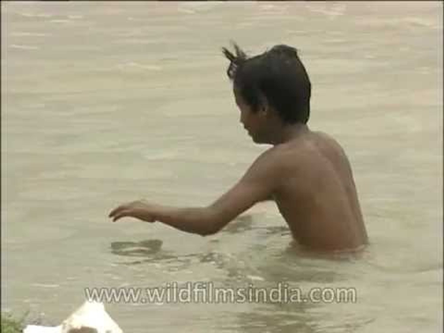 vk.com nudist boys Young boys swim into the Yamuna river looking for coins - video Dailymotion