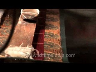 An old weaver making traditonal Banarasi silk saree