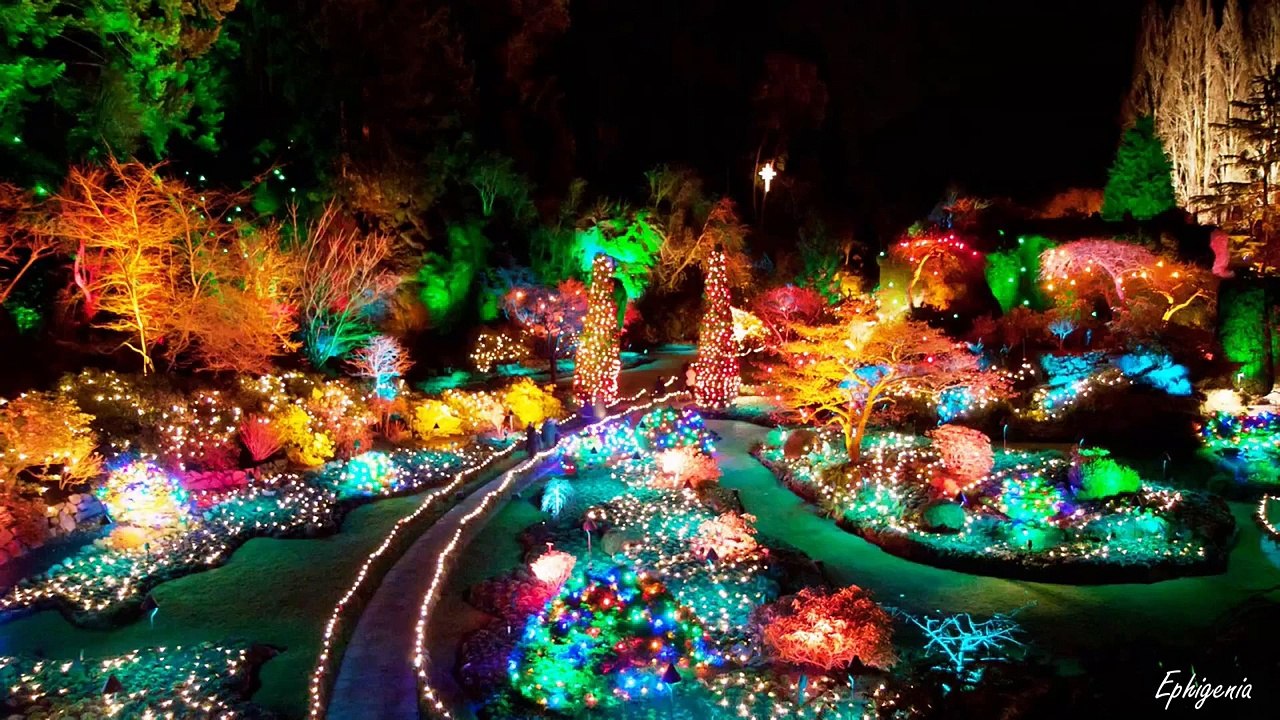 The Magic of Butchart Gardens Christmas Lights, Victoria, BC, Canada