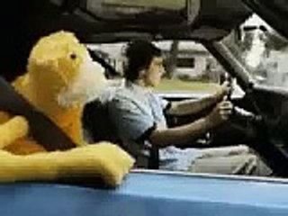 funny muppet car ride / mr oizo flat beat