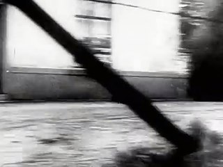 German Invasion of Denmark and Norway  (World War II)