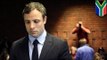 Oscar Pistorius explains how he killed girlfriend Reeva Steenkamp in affidavit
