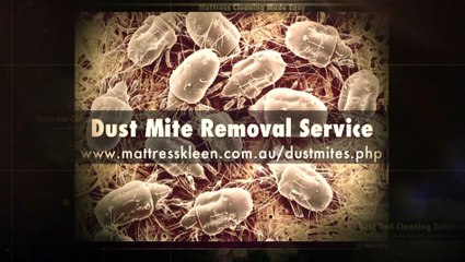 Convenient Advice In Mattress Cleaning - An Analysis