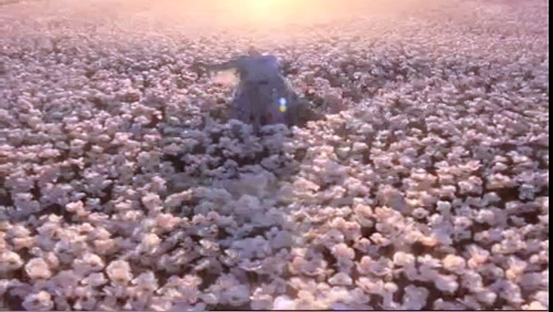 chris cunningham gucci