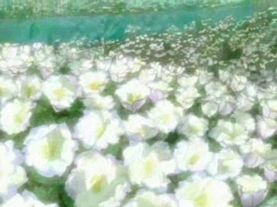 Stray Wolf's Rain - Forum