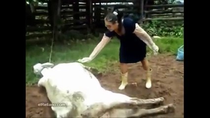 Caidas de lo mas divertidas y para reir