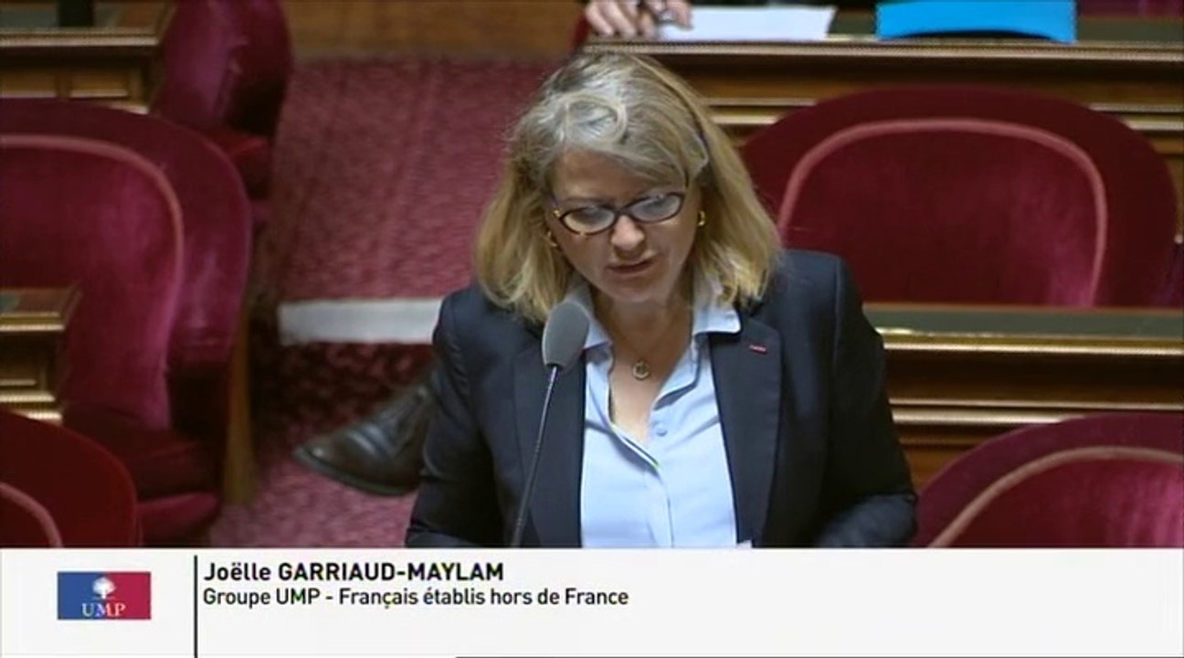 Duplicata du permis de conduire : " Les Français de l'étranger rencontrent de nombreuses difficultés pour obtenir un duplicata de leur permis de conduire français, en cas de vol ou de perte ! "