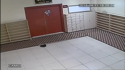 Tekrar) Camideki Hırsızlık Güvenlik Kamerasında