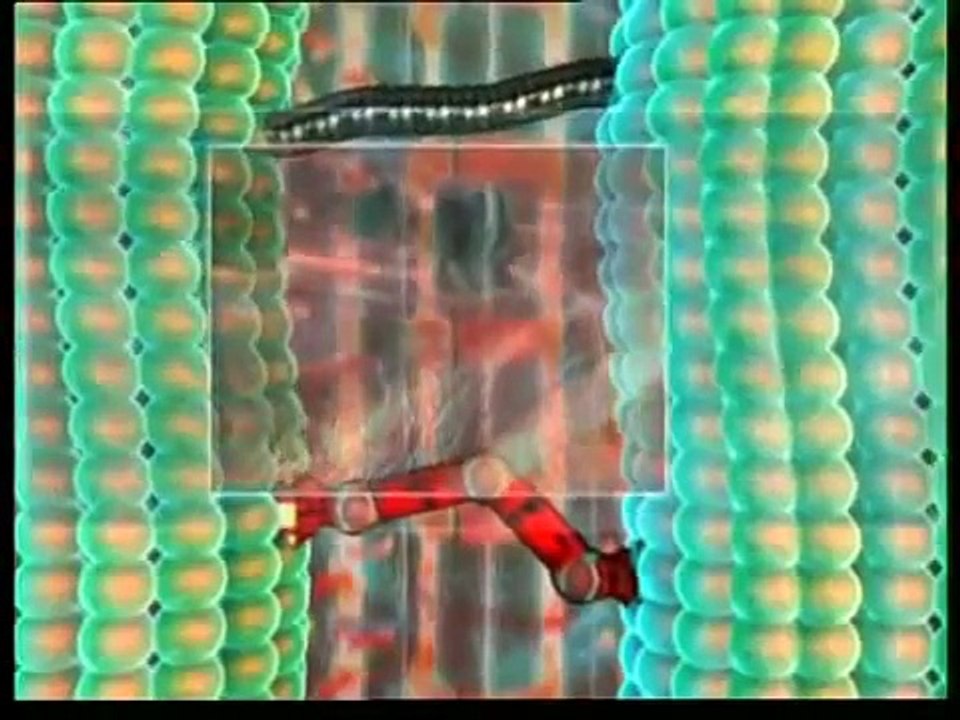 Solunum Sistemi Mucizesi