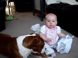 Staffordshire Bull Terrier And Baby