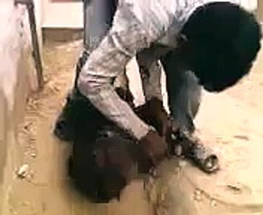 Funny Goat qurbani | HD |