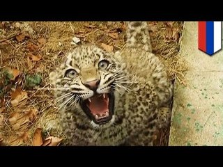 プーチン大統領見せた別の一面