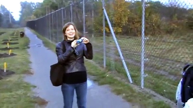 Black russian terrier meeting wolves and bears