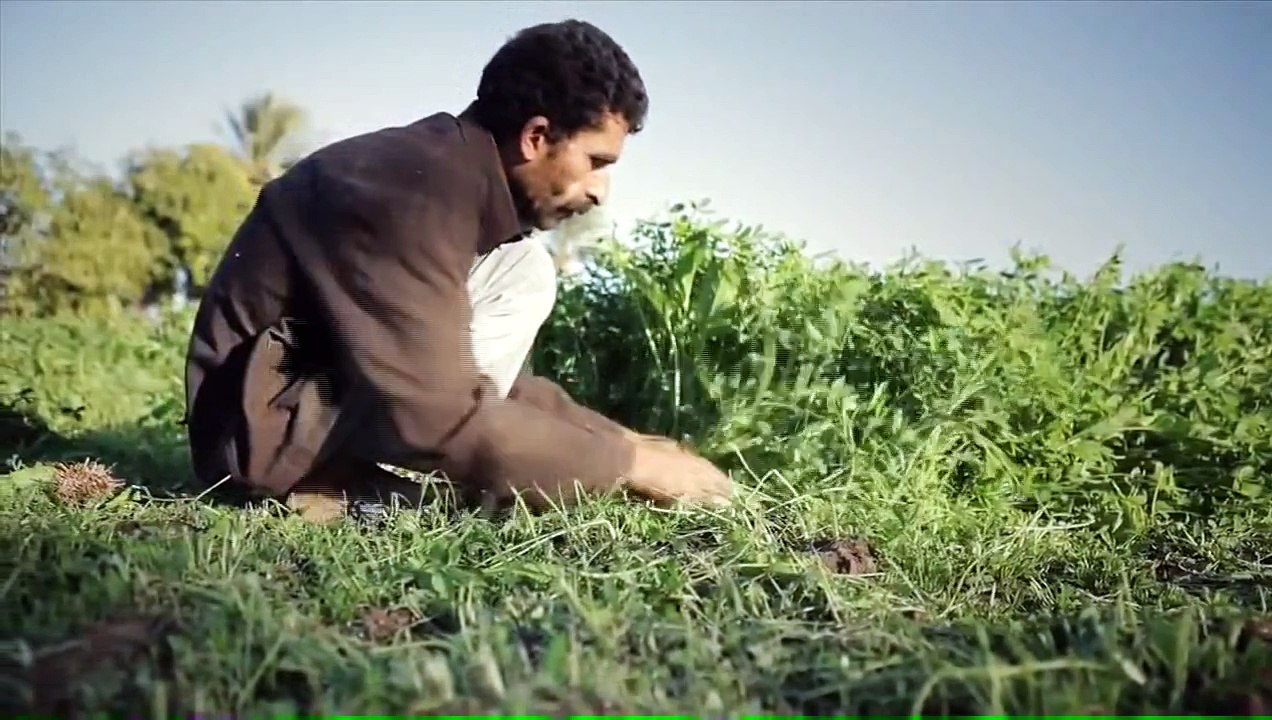 أغنية: أسيبك لمين - محمد عباس