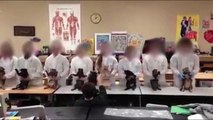 Des élèves dansent avec des chats morts
