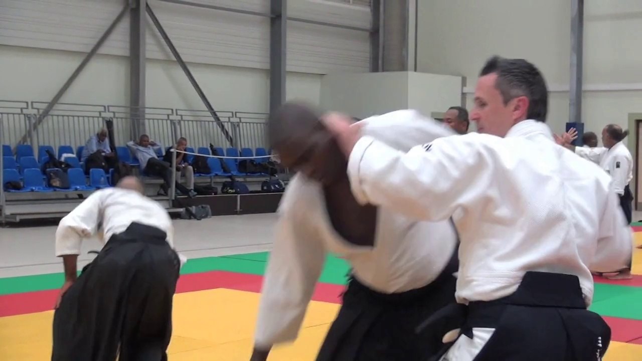 The Aikido destinations with Michel Erb Sensei Part 11