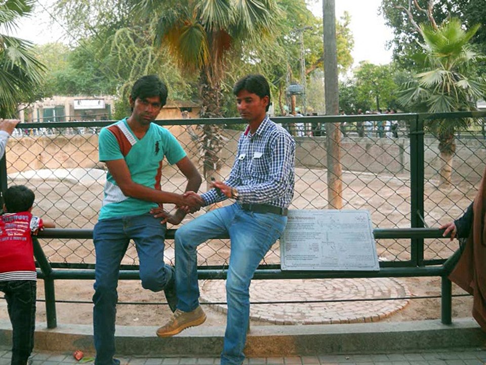 Jani Rao
