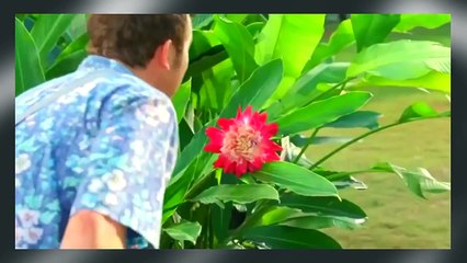 Best Funny DirecTV Commercials