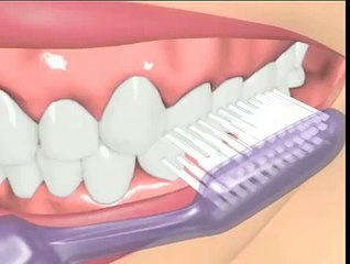 tooth brushing bass technique