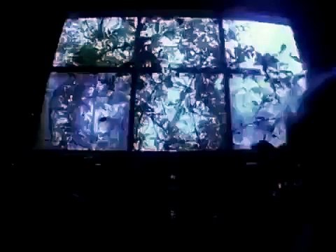 Animal Documentary Wild Life Planet Wildlife Animals National Geographic Discovery Channel